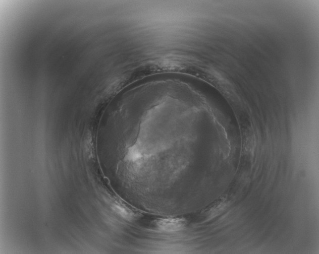 X0000066970465200603311453