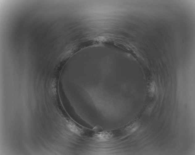 X0000066970466200603311453