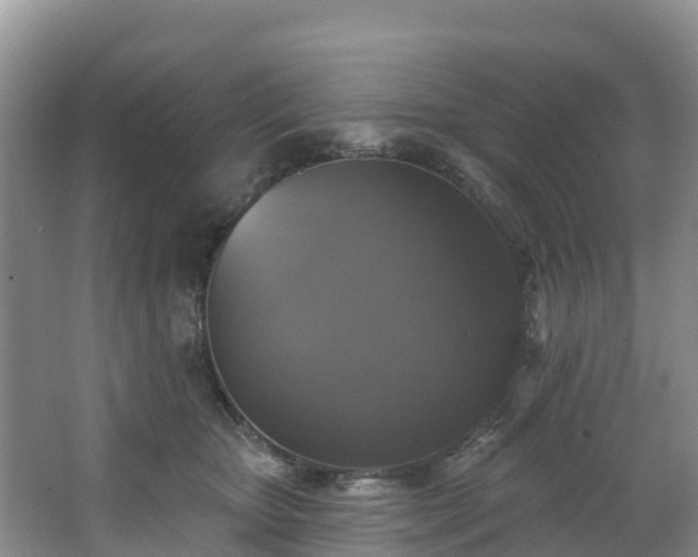 X0000066970467200603311453