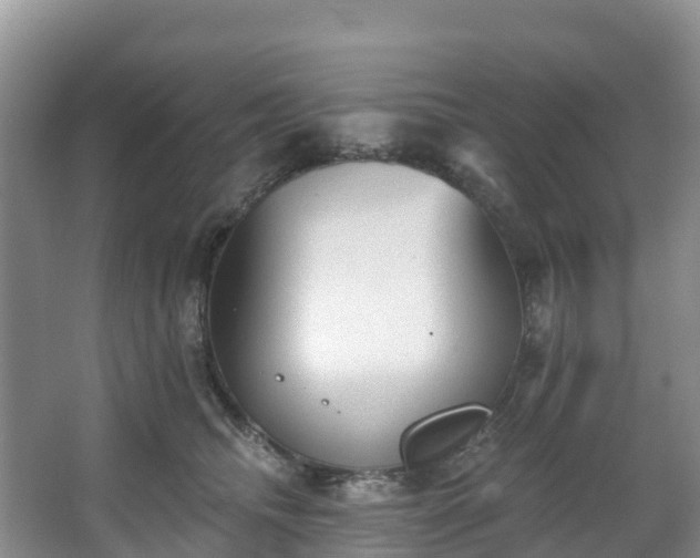 X0000066970468200603311453