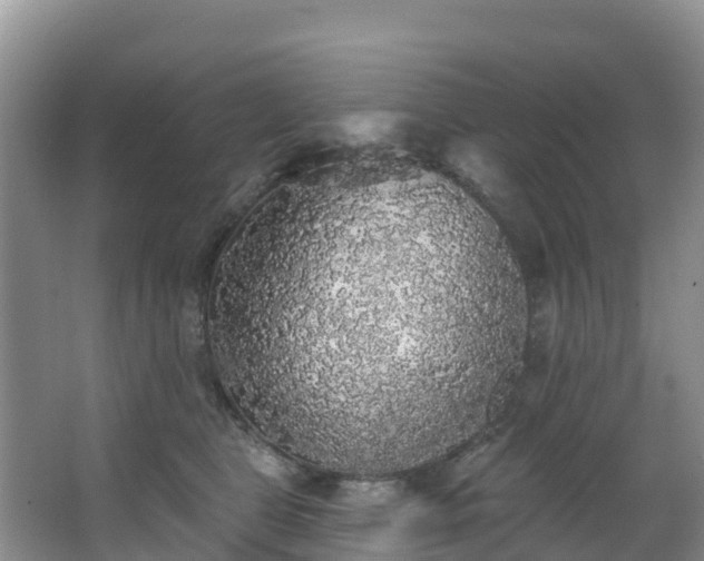 X0000066970469200603311454