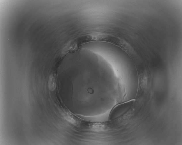 X0000066970471200603311454