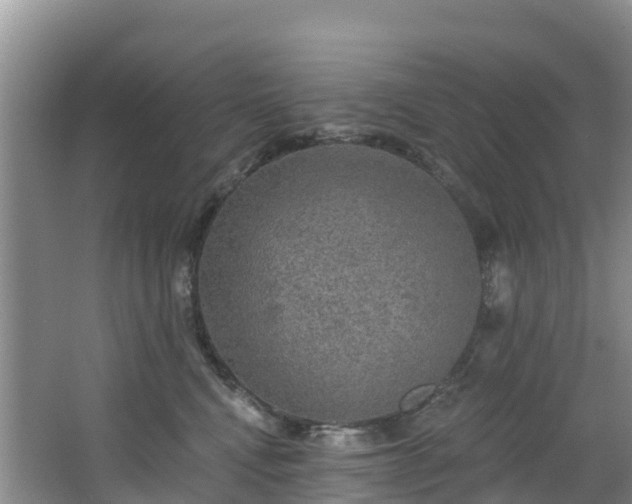 X0000066970472200603311454