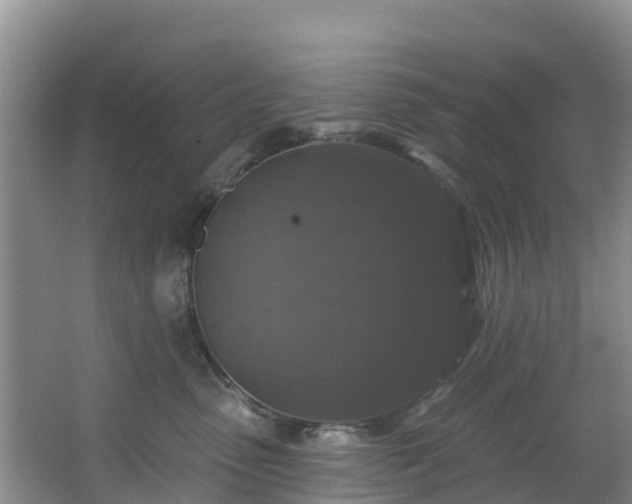 X0000066970475200603311454