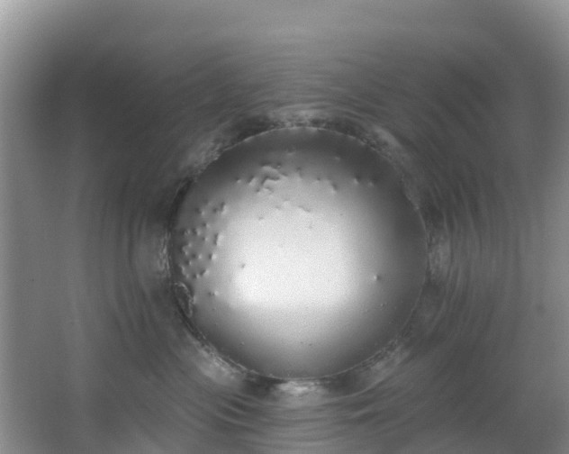 X0000066970477200603311454