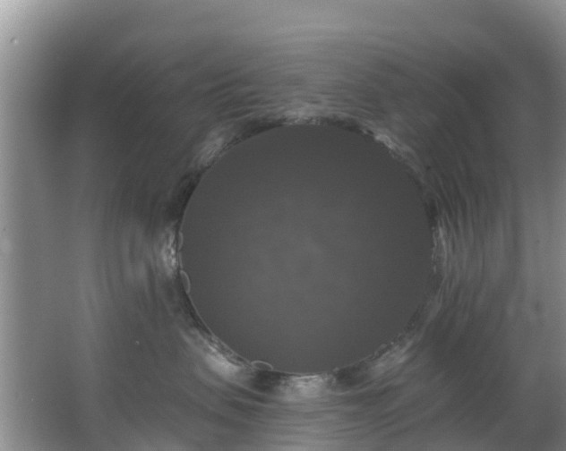 X0000066970479200603311454