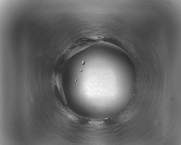 X0000066970480200603311454