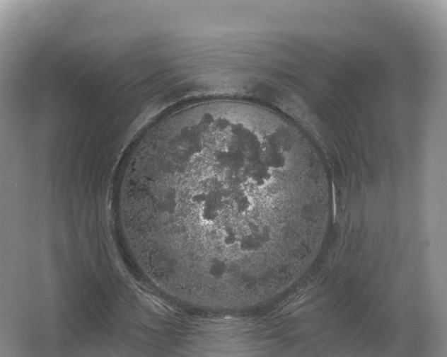 X0000066970483200603311453