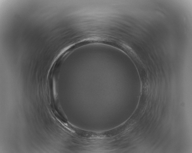 X0000066970484200603311453