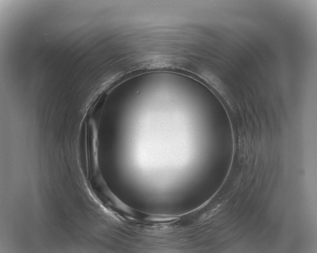 X0000066970485200603311453