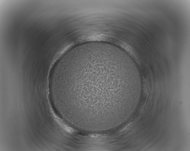 X0000066970486200603311453