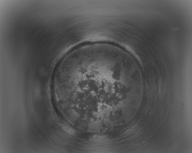 X0000066970487200603311453