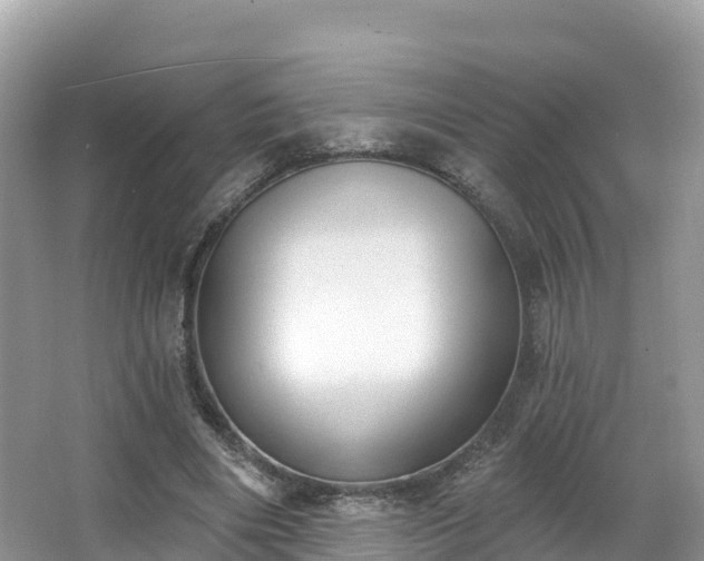 X0000066970490200603311453