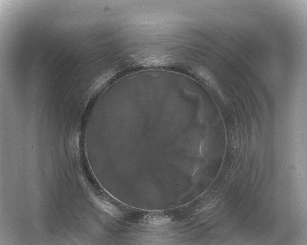 X0000066970491200603311453