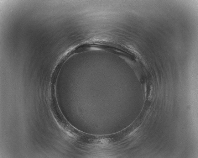 X0000066970492200603311453