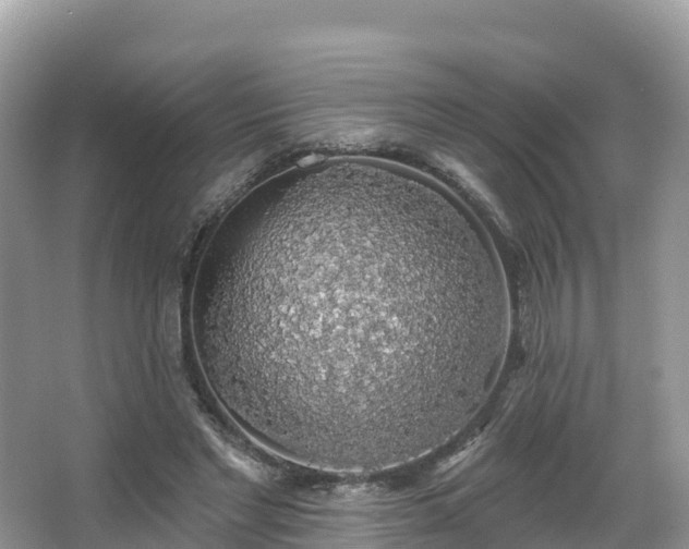 X0000066970493200603311453