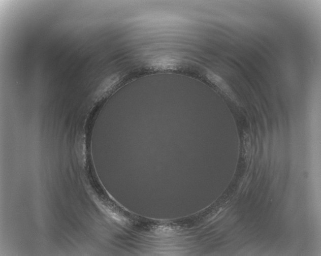 X0000066970494200603311453