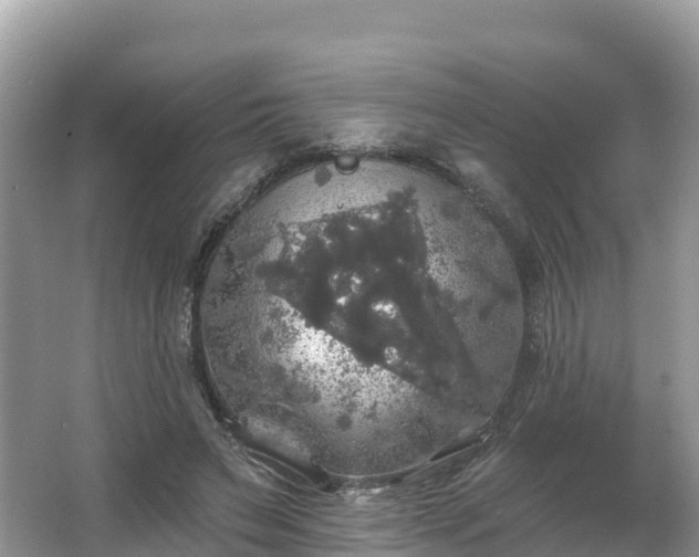 X0000066970495200603311453