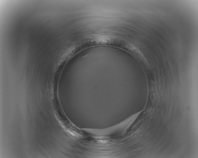 X0000066970496200603311453