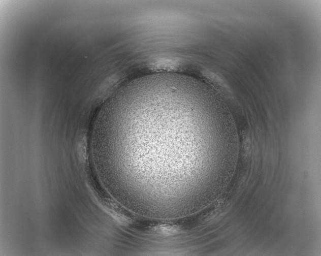 X0000066970498200603311453