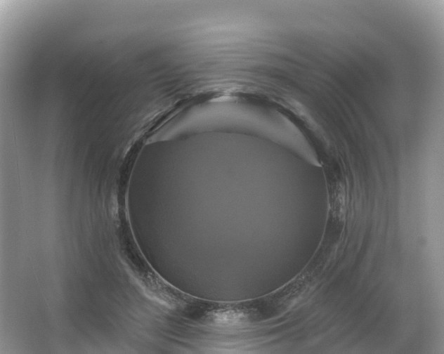 X0000066970500200603311453