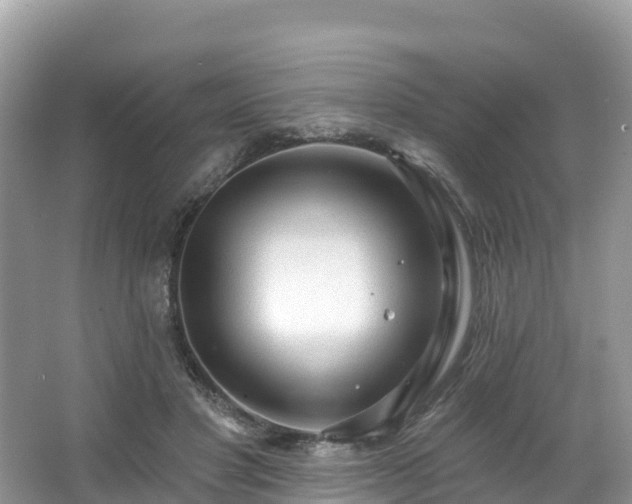 X0000066970501200603311453