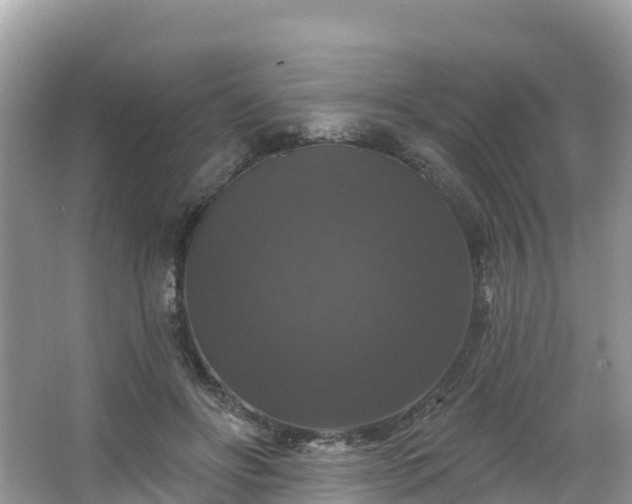 X0000066970502200603311453