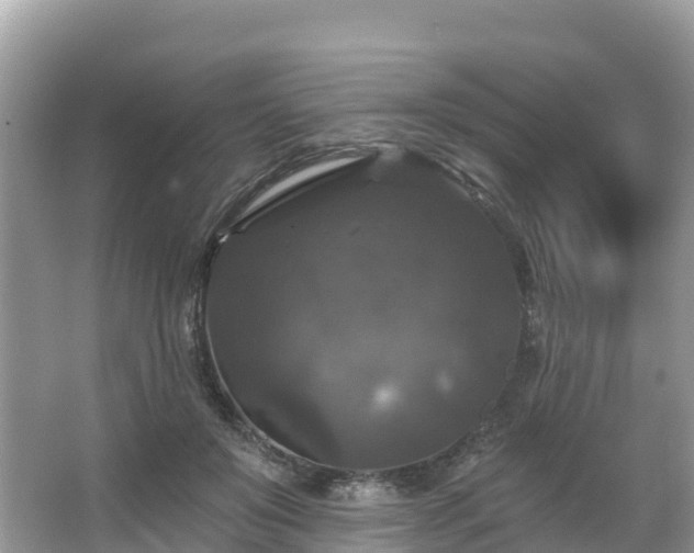 X0000066970503200603311453