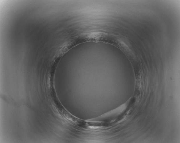 X0000066970504200603311453