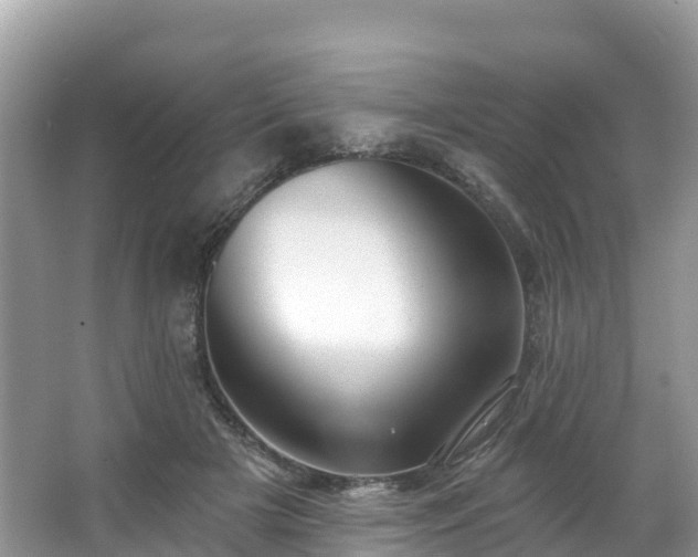 X0000066970505200603311452