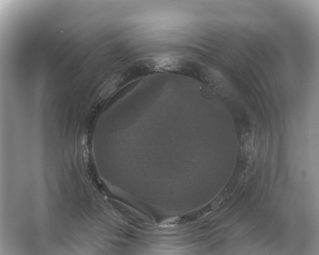 X0000066970506200603311452