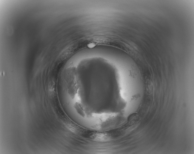 X0000066970507200603311452