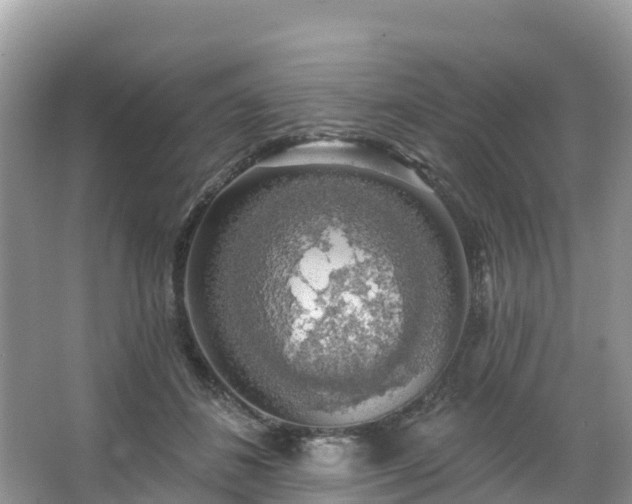 X0000066970508200603311452