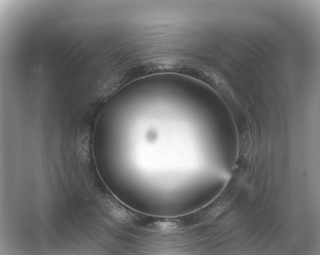 X0000066970509200603311452