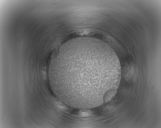 X0000066970510200603311452