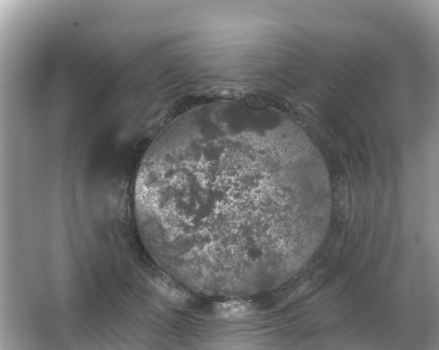 X0000066970511200603311452