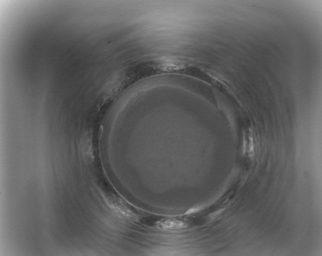 X0000066970512200603311452