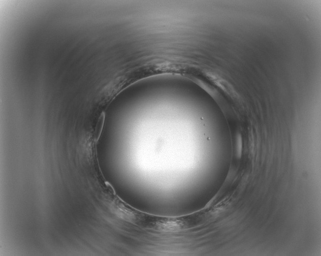 X0000066970513200603311452