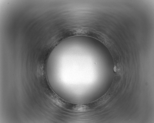 X0000066970514200603311452