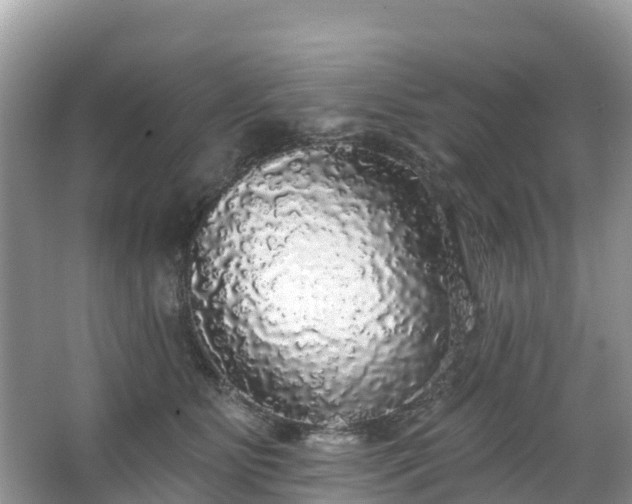 X0000066970515200603311452