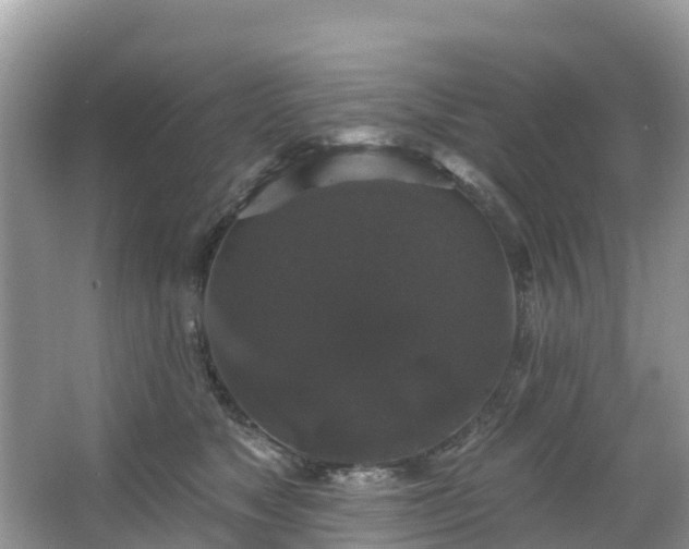 X0000066970517200603311452