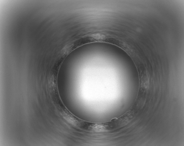 X0000066970518200603311452