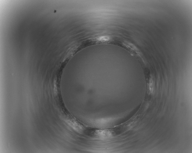 X0000066970520200603311452