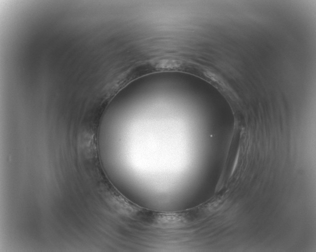 X0000066970521200603311452