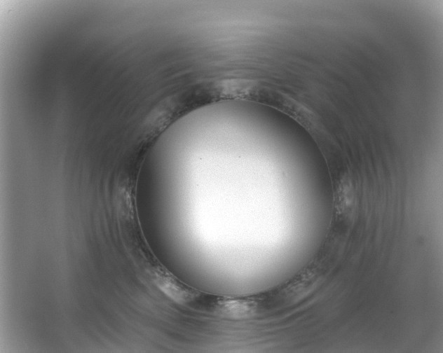 X0000066970522200603311452