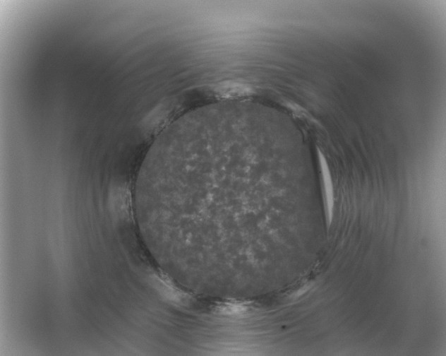 X0000066970523200603311452