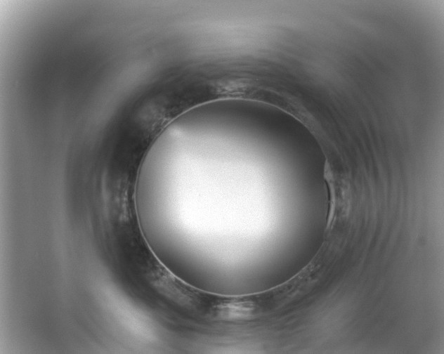 X0000066970525200603311452