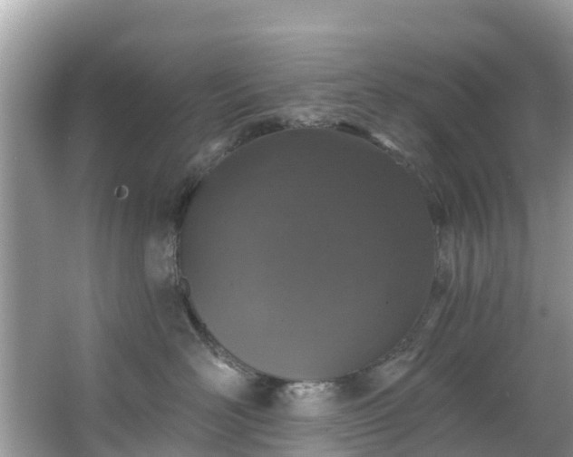 X0000066970526200603311452