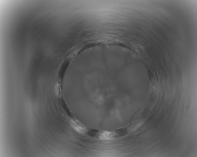 X0000066970527200603311452