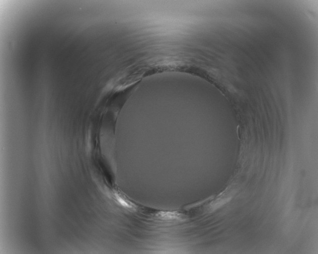 X0000066970528200603311452